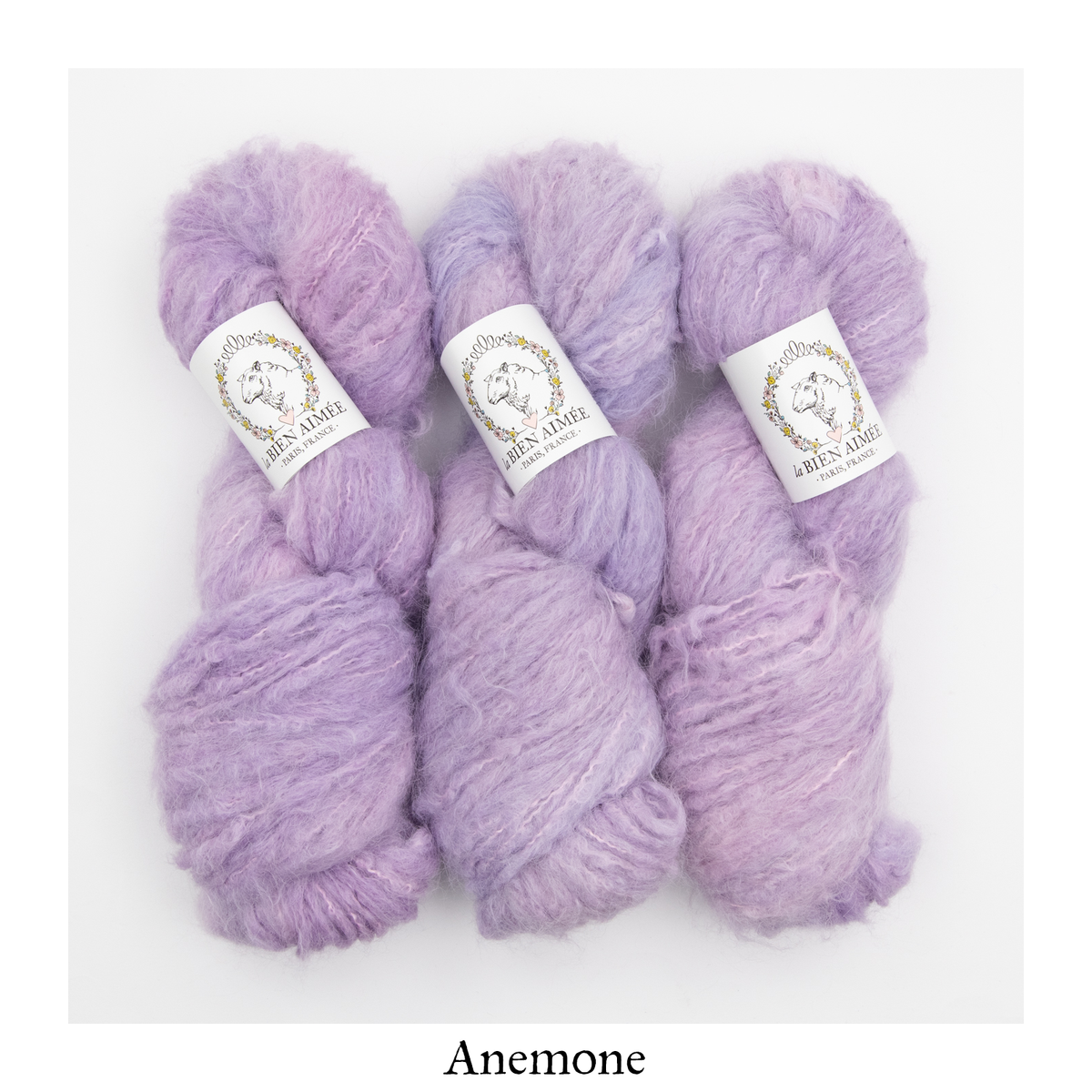 Big Kumo — Anemone