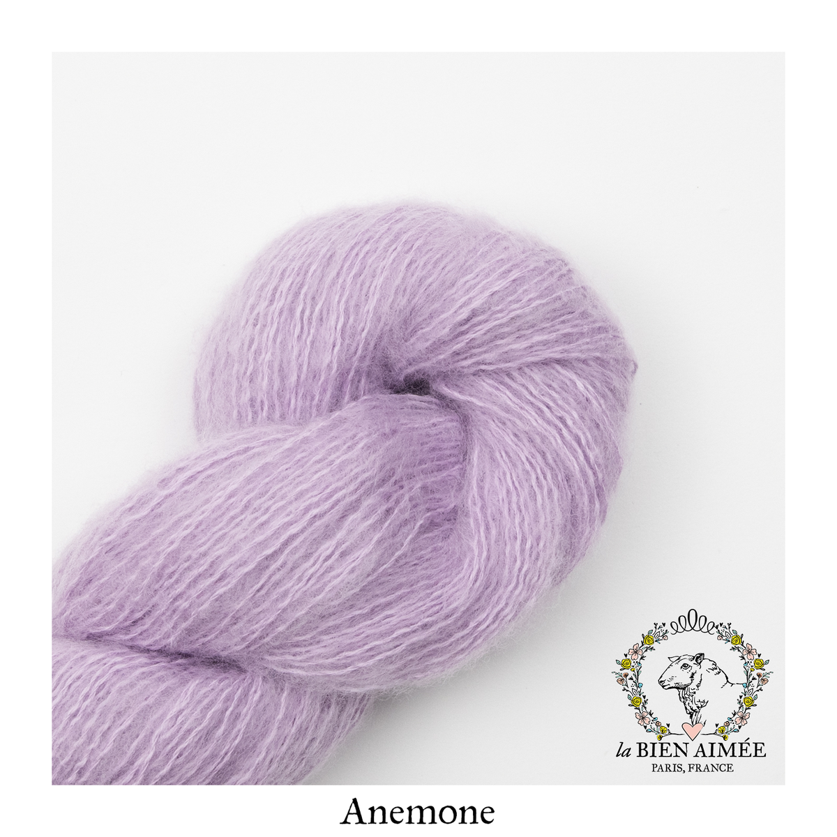 Volute — Anemone
