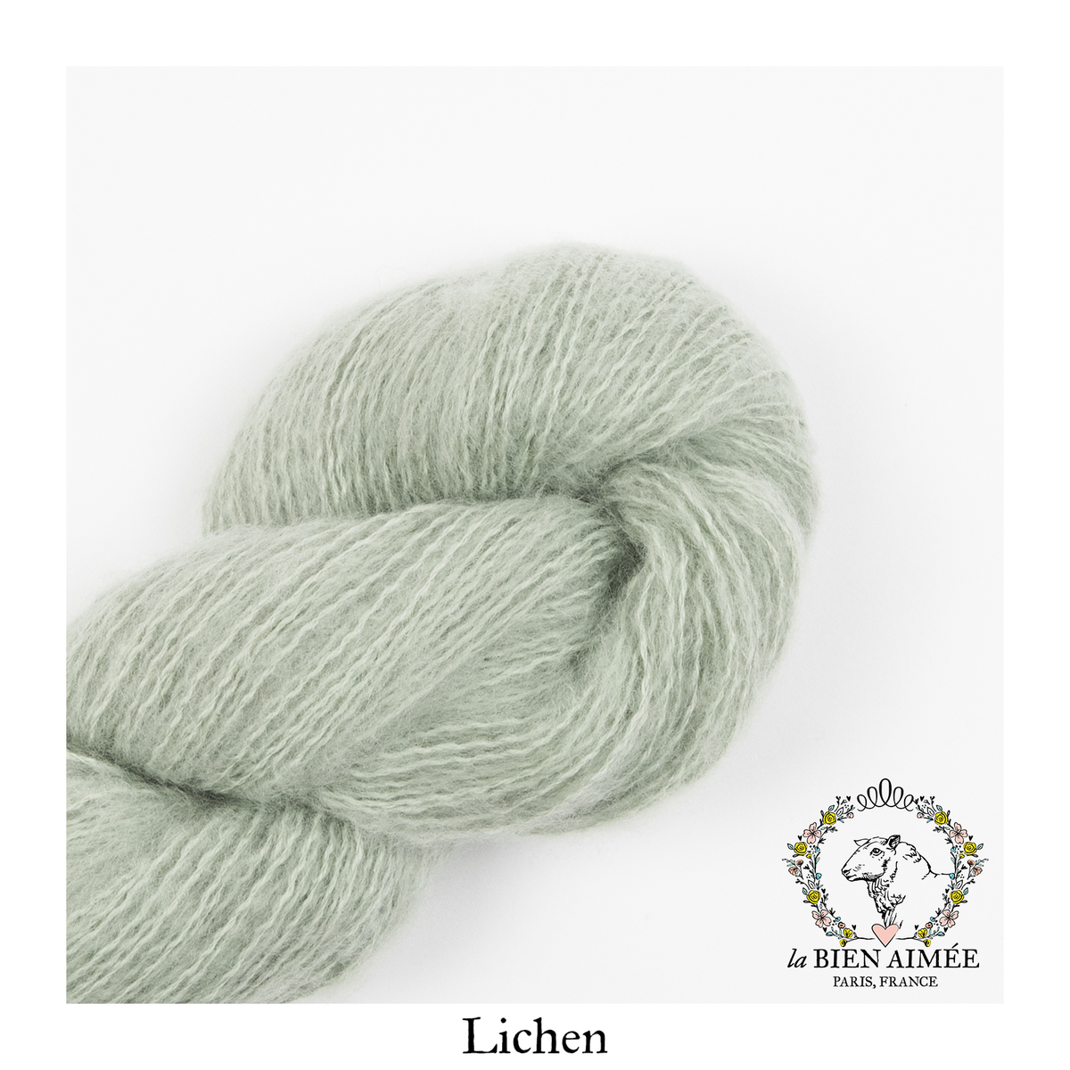 Volute — Lichen