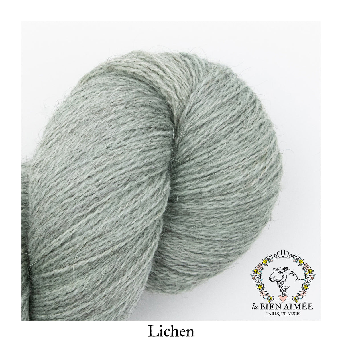 Helix — Lichen
