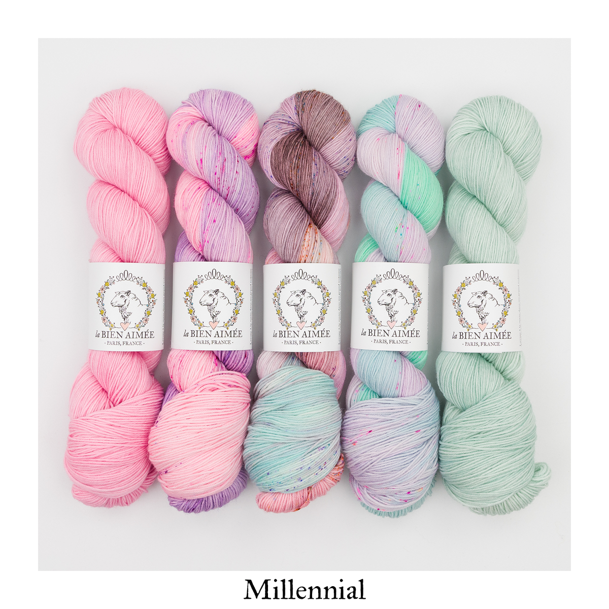 5 Skein Fade Bundle - Merino Super Sock — Millennial