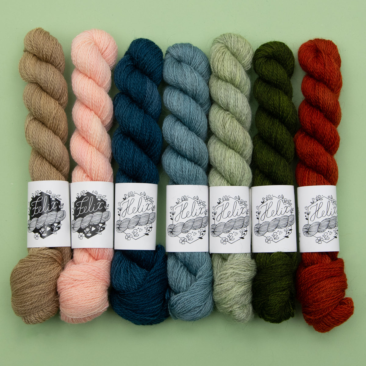 Paul Klee Yoke Bundle — Midori palette / Size 2
