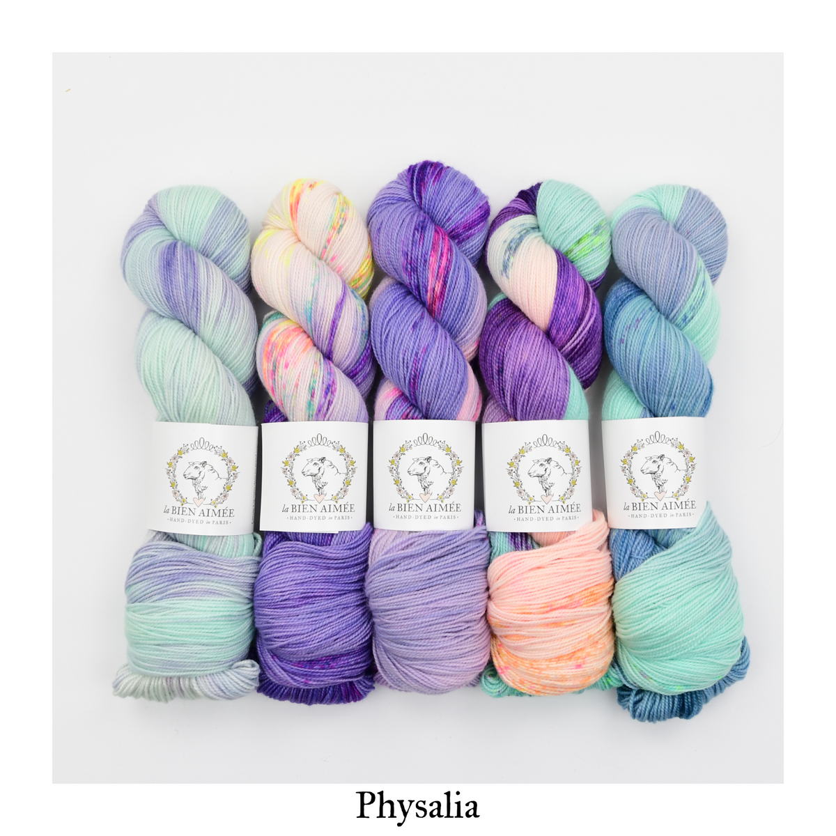5 Skein Fade Bundle - Twist Nouveau — Physalia
