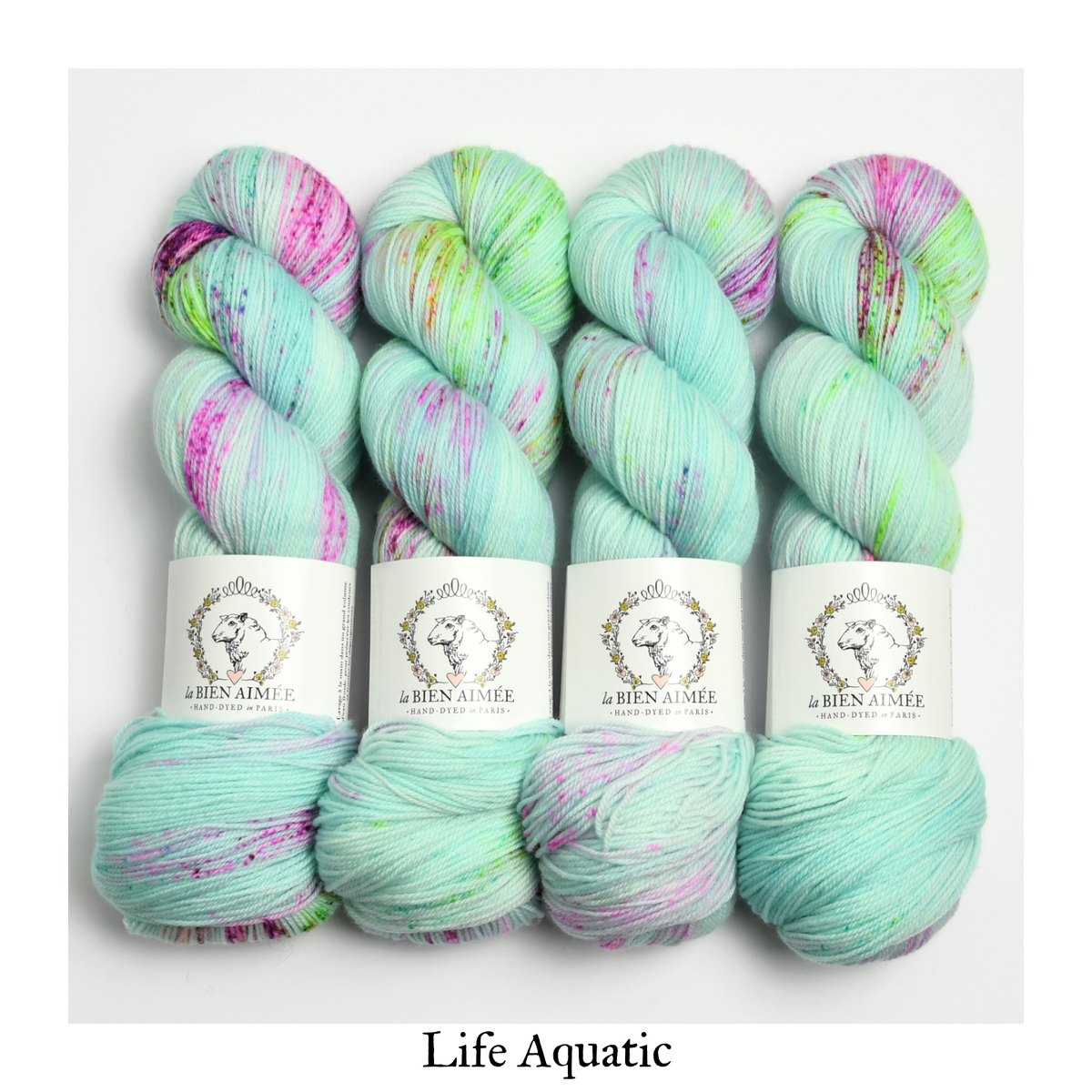 Cashmerino — Life Aquatic