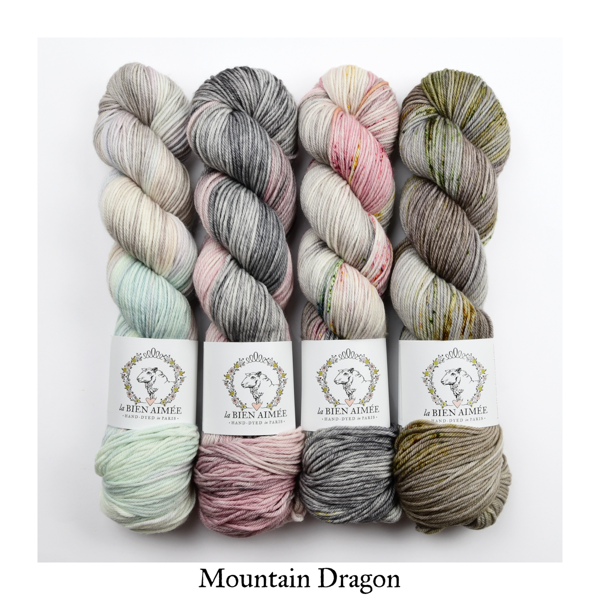 4 Skein Fade Bundle - Merino DK — Mountain Dragon