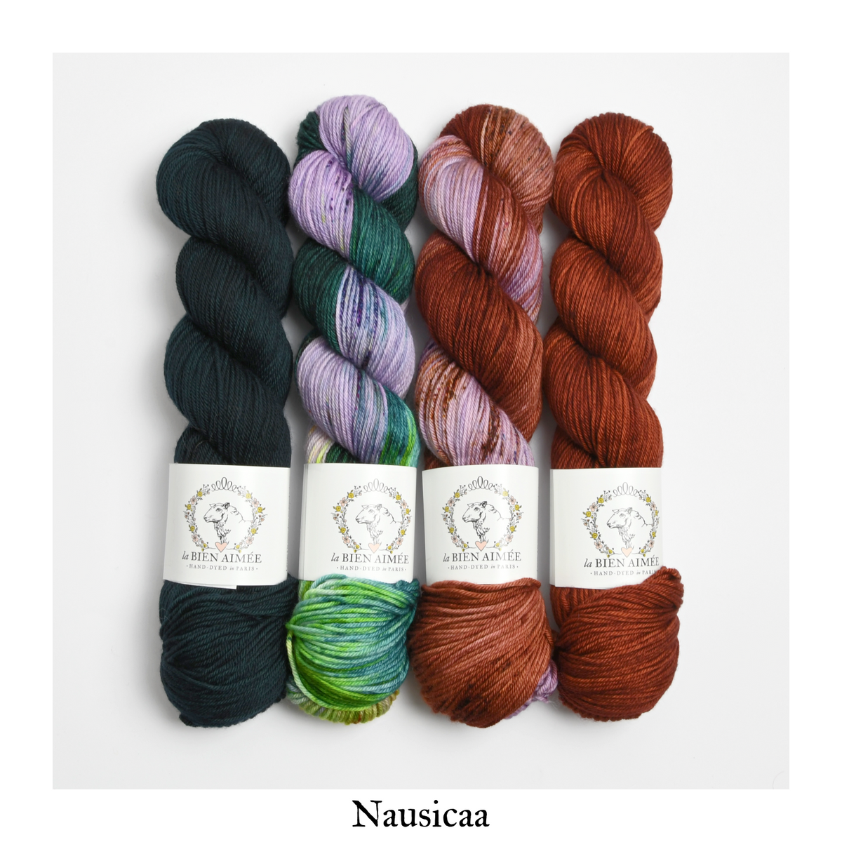 4 Skein Fade Bundle - Merino DK — Nausicaa